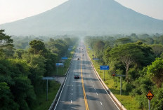4 Jalan Tol Baru Akan Membalikkan Arah Ekonomi Sumsel Bersama 3 Provinsi Tetangga