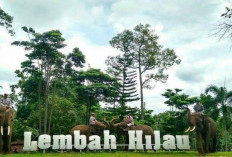 Liburan dengan si Kecil, Ini Wisata Alam dengan Beraneka Ragam Satwa di Tengah Kota Lampung  