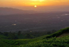 Kenapa Desa Wisata Gunung Dempo Bisw Masuk 50 Besar ADWI 2024,Ini Alasannya!