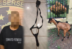 Kepergok Warga Curi Kambing di Siang Hari