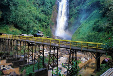Curup Tenang Bedegung: Air Terjun 99 Meter yang Menyimpan Kesunyian Terindah Sumsel