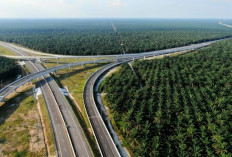 Tol Trans Sumatera Ubah Wajah Sumsel, Palembang Jadi Pusat Ekonomi Baru