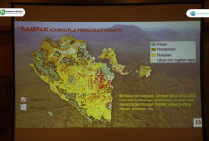Indonesia 2 Besar Penyumbang Kabut Asap Terbanyak Global: Maksimalkan Pengendalian Karhutla     