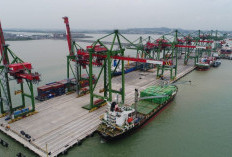 Dorong Ekspor Sumsel ke Pasar Global, Pelabuhan Ramah Lingkungan Pertama di Sumatera Selatan