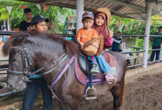 6 Manfaat Olahraga Pacuan Kuda