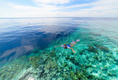 Wakatobi: Surga Bawah Laut Dunia dan Warisan Budaya Maritim di Sulawesi Tenggara