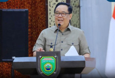 Jejak Cik Ujang: Dari Pengusaha ke Kursi Bupati Hingga Jabat Wakil Gubernur Sumsel