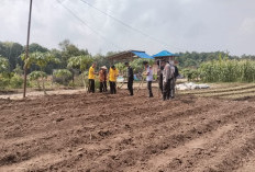 Dukung Ketahanan Pangan, Tanam Jagung Selaluas 1,5 Hektar
