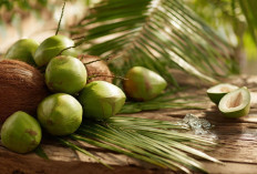6 Manfaat Kelapa Cengkir Untuk Kesehatan 