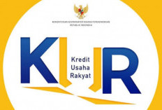 Apakah KUR Bisa Tanpa Agunan?