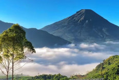 Taman Langit Dieng:  Wisata Baru di Wonosobo yang Menyebabkan Kemacetan di Dataran Tinggi Dieng