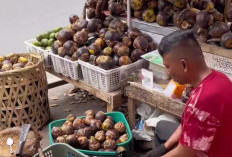 Ternyata Buah Lontar Baik untuk Kesehatan Ginjal