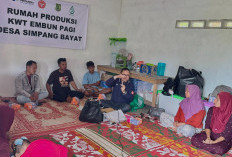 Dari Limbah Jadi Penyelamat, PHE Jambi Merang Buat Inovasi Kulit Singkong Jadi Bahan Pemadam Kebakaran