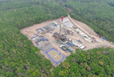 Pertamina EP Fokus Bersihkan Tumpahan Minyak Limau Field