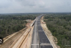 Jalan Tol Sumsel Tulang Punggung Konektivitas, Industri, Pelabuhan dan Antar Provinsi
