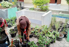 Bebas Jentik Nyamuk di SMK Bukit Asam: Tanaman Anti Nyamuk Jadi Solusi Alami