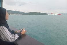 Pelabuhan Tanjung Carat di Sumsel Bakal Jadi Pusat Logistik Global Indonesia Bagian Barat