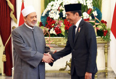 Presiden Jokowi Sambut Grand Syekh Al Azhar, Bahas Tiga Isu Penting, Apa Saja?