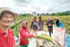 Gandeng Perguruan Tinggi hingga Petani, Bukit Asam (PTBA) Kembangkan Inovasi Pertanian Berkelanjutan