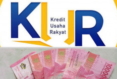 Penyebab Pengajuan KUR di Bank Gagal﻿
