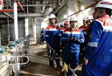 PGE Tambah Kapasitas Terpasang 55 MW Menuju 1 GW