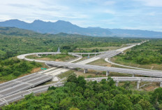 Palembang-Jambi Tersambung Tol 2026! Warga Sumatra Heboh, Waktu Tempuh  Hanya 2 Jam!
