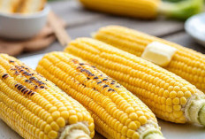 4 Alasan Mengapa Jagung Rebus Lebih Sehat Daripada Jagung Bakar