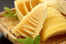 7 Manfaat Rebung Untuk Kesehatan