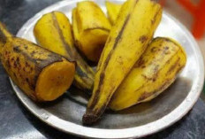 Rahasia Awet Sehat di Usia 50+ yang Tidak Banyak Diketahui: Menu Sehari-Hari yang Bikin Panjang Umur!