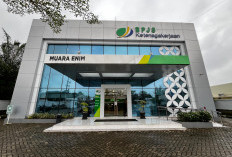 PP 50/2025 Resmi Berlaku, Iuran BPJS Ketenagakerjaan Dipangkas 50 persen untuk Pekerja Informal