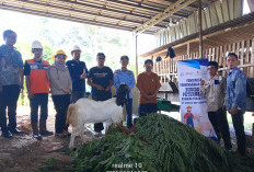 Dukung Usaha Budidaya Peternakan Kambing Perah Potong, Medco E&P Gelar Pembinaan di Desa Bangun Sari
