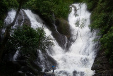 Masih Jarang Diketahui! Curup Lemutu Punya 3 Tingkat Air Terjun yang Bikin Takjub