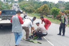 PNS Guru Meninggal di Tempat Lakalantas  