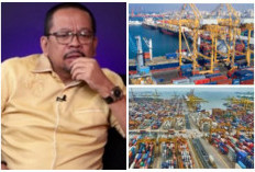 Dimana Lokasi Proyek Pelabuhan Canggih Rp2 Triliun Persembahan Sumsel untuk Indonesia yang Mengagetkan? 