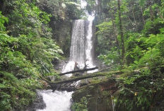 Terungkap! Ini 7 Fakta Air Terjun Napal Carik yang Membuat Wisatawan Rela Menempuh Jalur Ekstrem