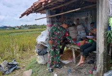 Babinsa Serda Masrul Amin Bantu Petani Tingkatkan Produksi Padi di Desa Rami Pasai