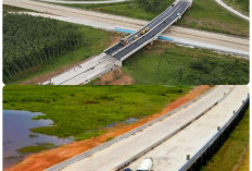 Infrastruktur Lebih Baik, Ekonomi Maju. Sumsel Melesat Berkati Jalan Tol