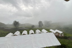 Rasakan Sensasi Menginap di Dempo Highland Glamping di Ketinggian Gunung Dempo, Pagar Alam!