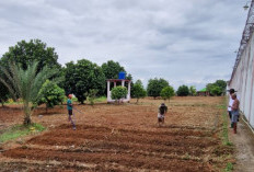 Dukung Program Ketahanan Pangan, Lapas Muara Enim Maksimalkan Lahan Kosong