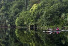 Berbak-Sembilang, Taman Nasional yang Lebih Tua Umurmu, tapi Masih Segar dan Lestari!