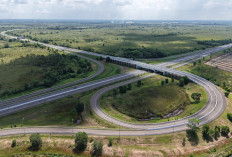 7 Jalan Tol Raksasa Sumsel Dikebut hingga 2031, Tembus Hutan-Rawa Demi Ekonomi Melonjak!