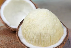 Kaya Nutrisi dan karbohidrat, Gandos Kelapa Kaya Manfaat Untuk Kesehatan