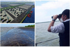 75 Km dari Palembang, Sumsel Dipastikan Bakal Punya Pelabuhan Tercanggih Kelas Dunia