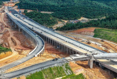 Tol Sumsel Menggelegar: Jalur Cepat yang Diam-Diam Mengubah Peta Ekonomi Sumatera