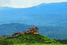 Bukit Tungguan Pagaralam, Wisata 1.200 Mdpl dengan Sky Deck 360 Derajat