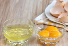Mengencangkan Kulit Wajah Dengan Putih Telur yang Sangat Ampuh