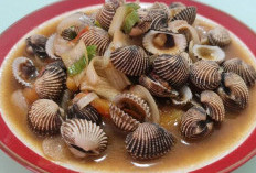 Manfaat Kerang Dara dan Cara Memasak Kerang Dara!