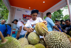 Berkat Pemberdayaan BRI Kelompok Petani Durian di Daerah Ini Makin Berkembang 