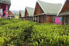 Tersedia Banyak Pilihan, Ini Villa-villa Favorit Wisata saat Liburan ke Pagaralam