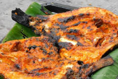 Rahasia Lezat! Resep Bumbu Olesan Ikan Bakar yang Wajib Dicoba